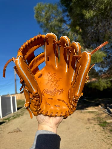 Rawlings Heart of the Hide 11.25" Custom Infield