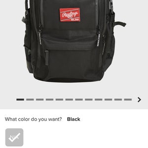 Rawlings Bat Bag (Used)