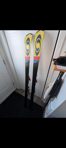 Men's 2007 All Mountain 162 cm Salomon Gc Race Skis With Bindings Max Din 14 (Used)