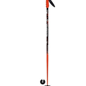 Rossignol Racing SL Jr Ski Poles (New)