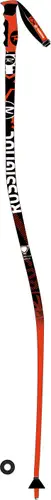 Rossignol Racing GS Ski Poles (New)