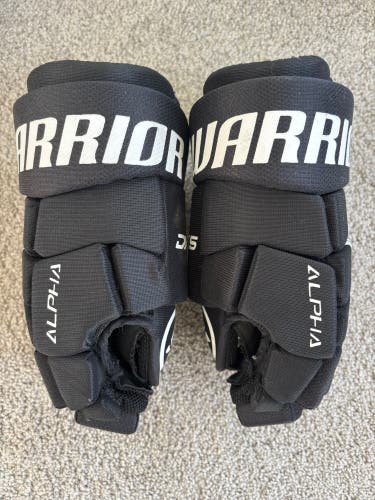 Warrior Alpha DX5 Gloves 10" (Used)