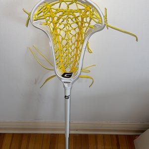 Adult Gait Apex 2 Stick (New)