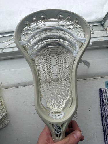 Powell Pioneer 2 Strung Head (Used)