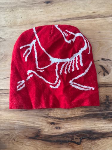 Used Arc'teryx Bird Head Toque unlicensed
