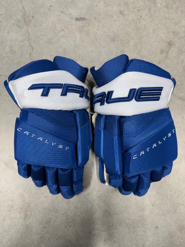 15” True Catalyst 9X Pro Tampa Bay Lightning Gloves Pro Stock (New) NHL