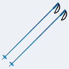 52in (130cm) Salomon Hacker Ski Poles (New)