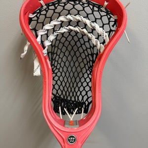Warrior burn XP2-D Strung Head (New)