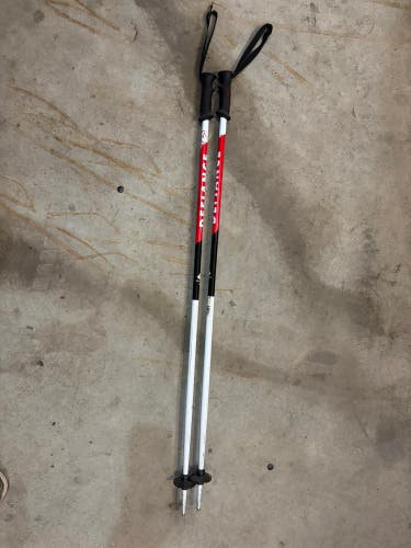 42in (105cm) All Mountain Ski Poles (Used)
