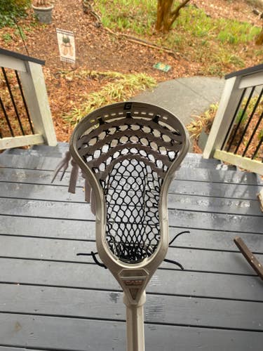 Widened Gait Mustang (READ DESCRIPTION)