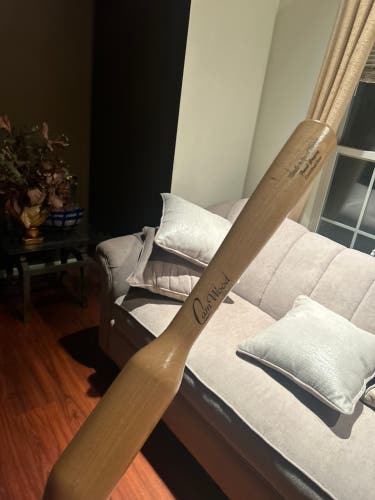 2023 CamWood Trainer Training Bat (-12) other 31" (Used)