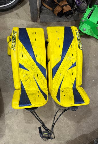 Passau Stärke Goalie Gear complete set READ DESCRIPTION
