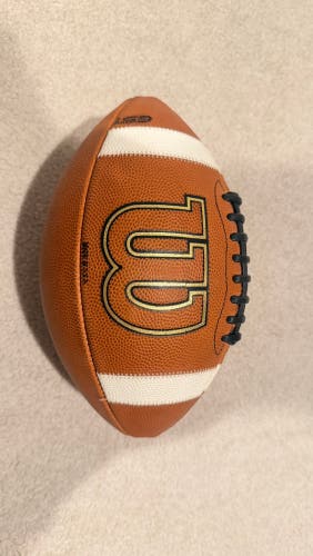 Adult Wilson Football (New)