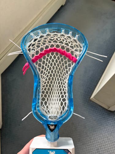 ECD Ion frost strung