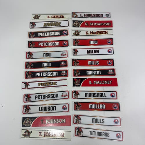 Binghamton Senators AHL Locker Room Nameplates