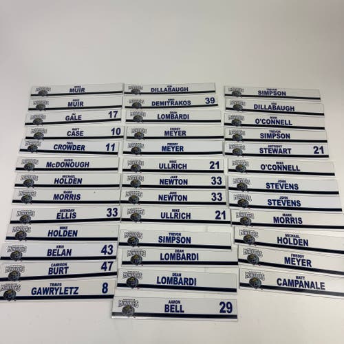 Manchester Monarchs Locker Room Nameplates (Group#9)