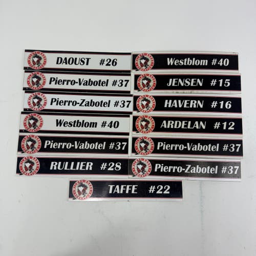 Wilkes Barre Scranton Locker Room Nameplates (Group#8)