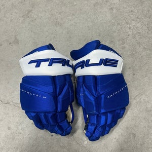 14” True Catalyst 9X Tampa Bay Lightning Pro Stock Gloves Pro Stock (New) NHL