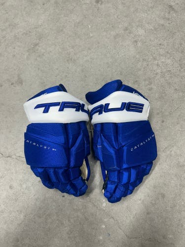 14” True Catalyst 9X Tampa Bay Lightning Pro Stock Gloves Pro Stock (New) NHL