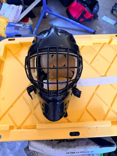 Senior Large Itech Goalie Mask (Used)