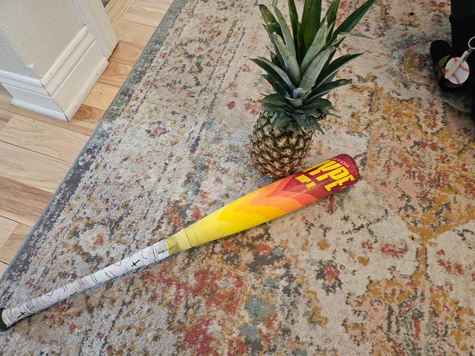 2024 Easton Hype Fire Composite USSSA Certified Bat (-10) 19 oz 29" (Used)