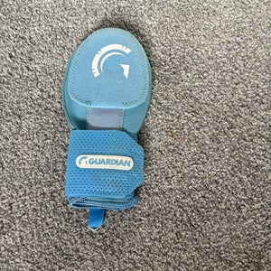 Blue guardian Sliding Mitt (Used) (willing to negotiate)