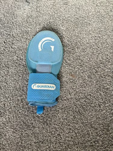 Blue guardian Sliding Mitt (Used) (willing to negotiate)