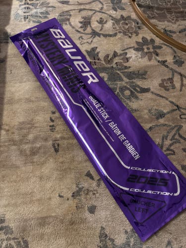 Mystery Mini  2025 GOALIE left