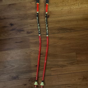 40in 100cm Leki World Cup Lite GS Racing Ski Poles (Used)