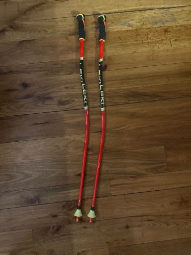40in 100cm Leki World Cup Lite GS Racing Ski Poles (Used)