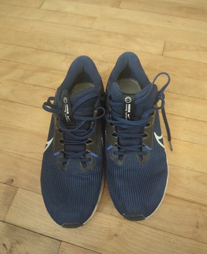 Blue Men's Size M 10.5 (W 11.5) Adult Nike Pegasus 40 Shoes (Used)
