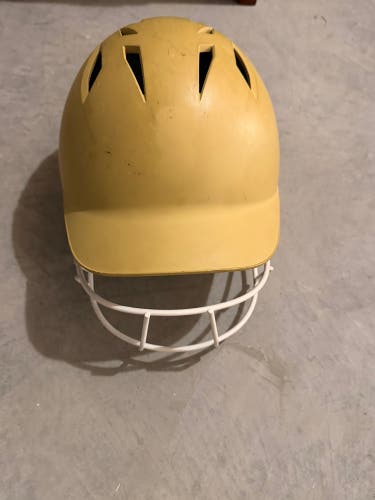 Fastpitch Batting Helmet w/ facemask (USED)