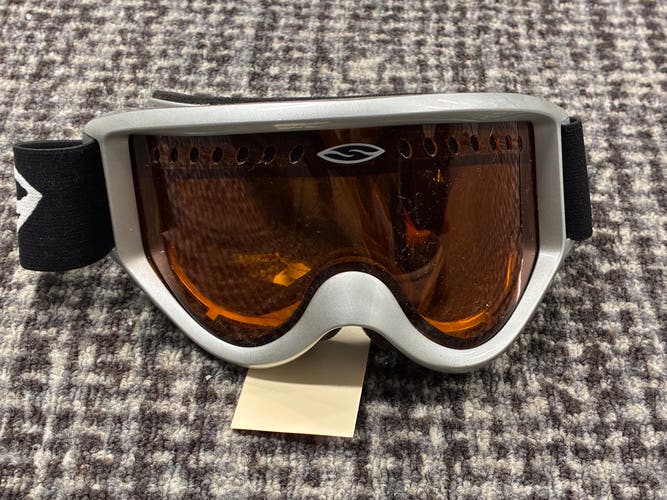 Gray Smith Ski Goggles (Used)