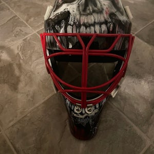 Roberto Luongo GFL CCM goalie mask