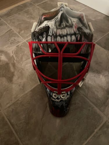 Roberto Luongo GFL CCM goalie mask