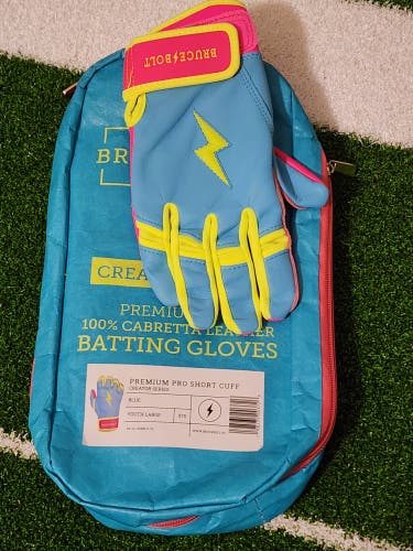 Youth Large Batting Gloves (New)