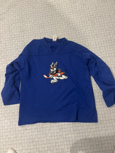 Blue Large/Extra Large Men's Troy Lee Designs Jersey (Used)