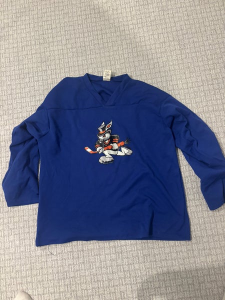 Blue Large/Extra Large Men's Troy Lee Designs Jersey (Used)