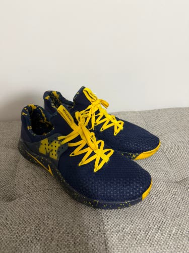 Men’s Michigan Nike TR8’s