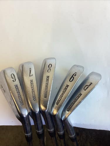 Northwestern TW-276 Iron Set 6-PW With Dynamic Gold S100 Stiff Steel Shafts