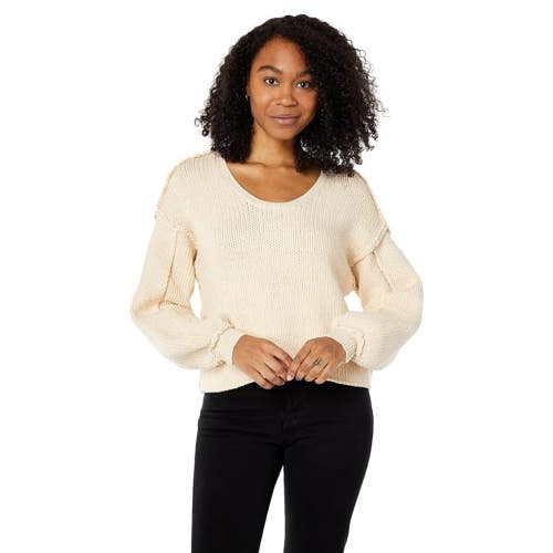 Saltwater Luxe Everlee Sweater Women's Large Beige Long Sleeve Scoop Neck JZZ391