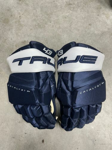 14” True Catalyst 9X Colorado Avalanche Pro Stock Gloves Pro Stock (New) NHL
