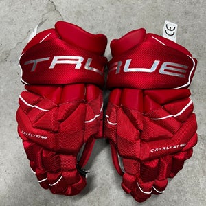 13” True Catalyst 9X3 Detroit Red Wings Pro Stock Gloves Pro Stock (New) NHL