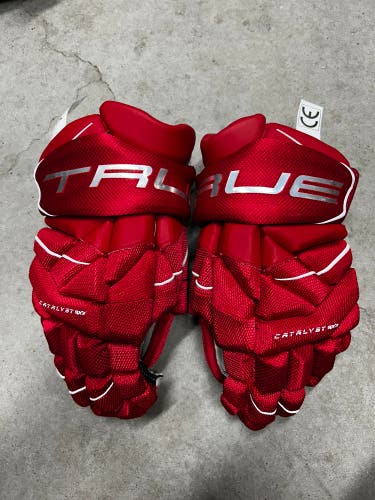 13” True Catalyst 9X3 Detroit Red Wings Pro Stock Gloves Pro Stock (New) NHL