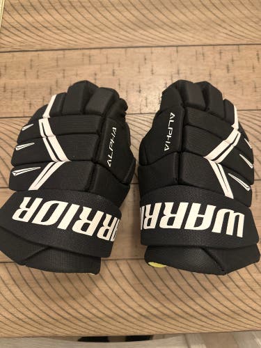 Warrior Alpha Gloves 11" (Used)