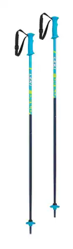 34in (85cm) Leki RIDER Ski Poles (New)
