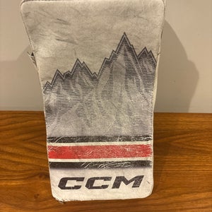 2024 CCM EFlex 6 Regular Pro Stock (Used)