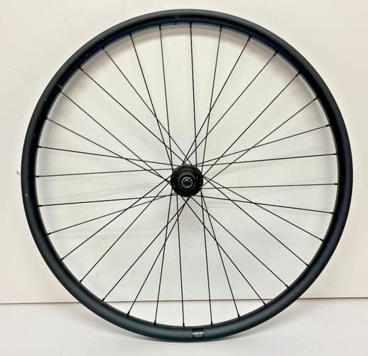 REI Co-Op 32-Spoke Black Aluminum Center Lock Disc Thru Axle 29er Rear Wheel