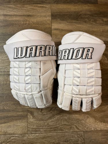 Warrior Franchise Gloves 14" (Used)