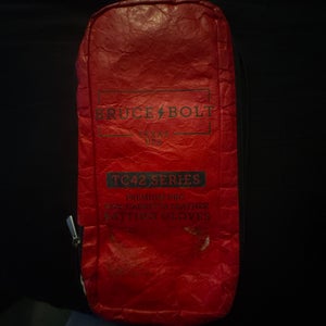 Medium Batting Gloves (Used)